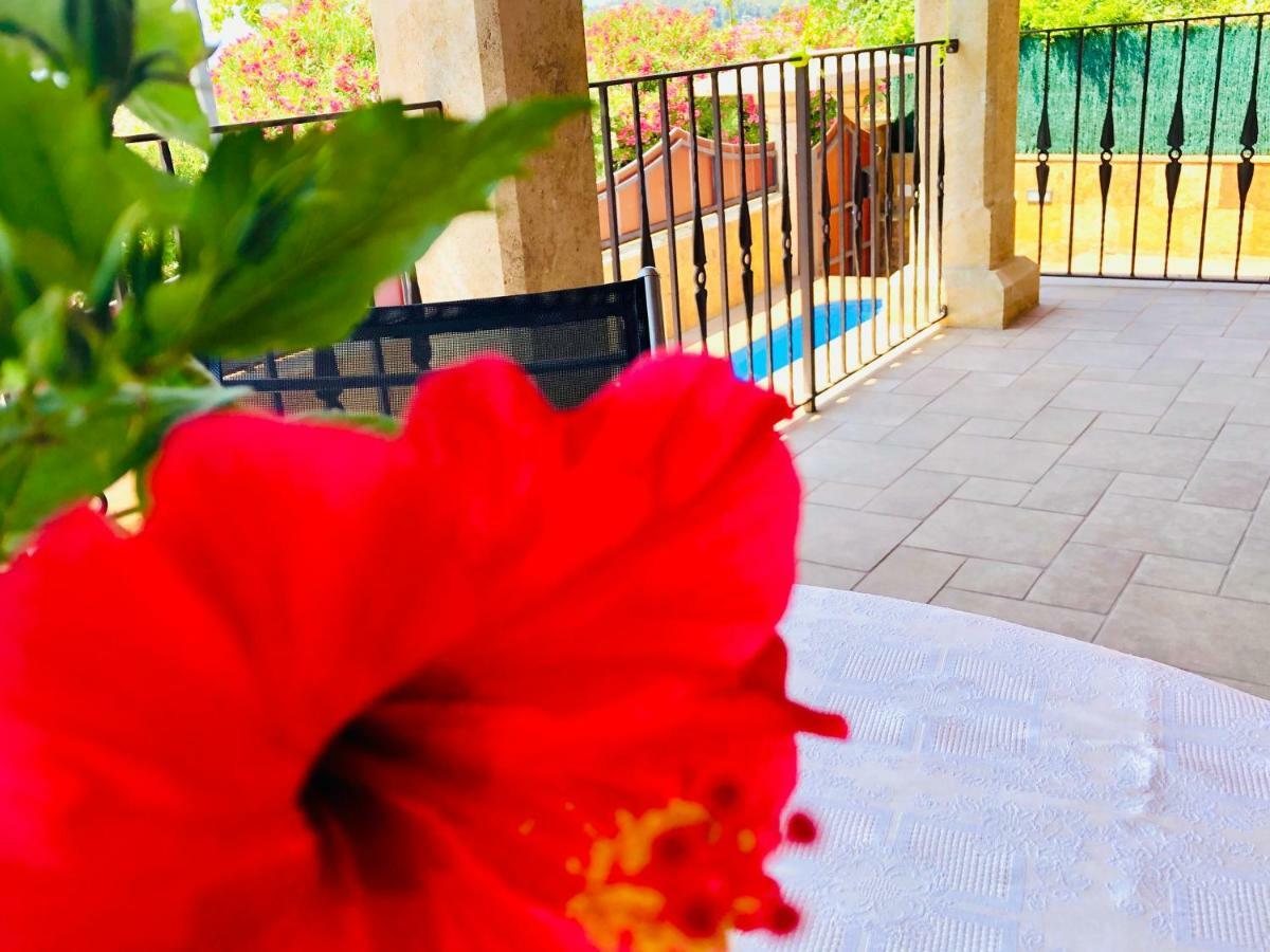 Chalet Con Piscina Privada!!! Altafulla Bagian luar foto