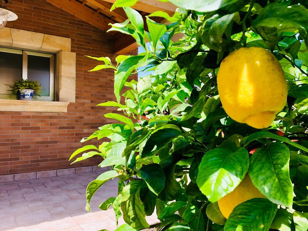 Chalet Con Piscina Privada!!! Altafulla Bagian luar foto